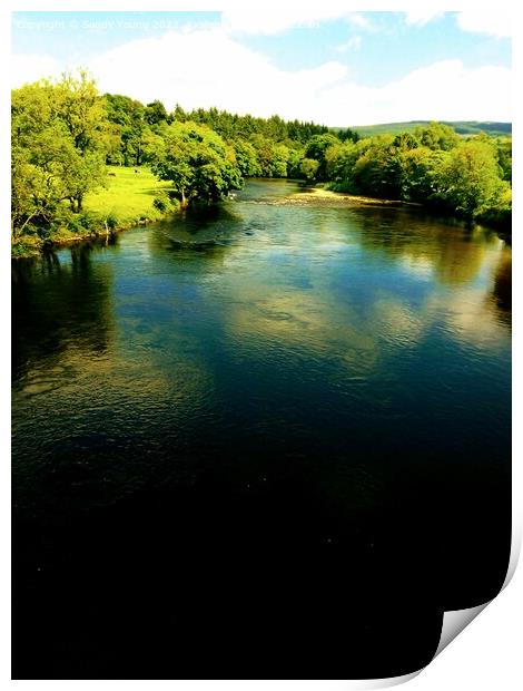 River Tay at Aberfeldy  Print by Sandy Young