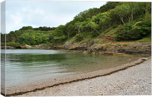 Churston Cove Canvas Print by graham young