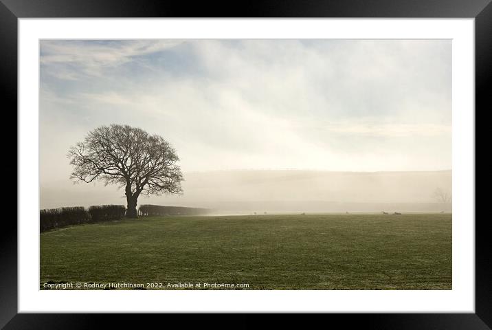 Enchanting Misty Ayrshire Morning Framed Mounted Print by Rodney Hutchinson