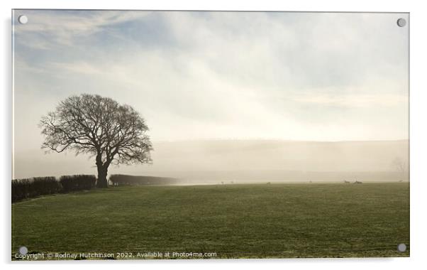 Enchanting Misty Ayrshire Morning Acrylic by Rodney Hutchinson