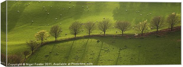 Epynt Trees Canvas Print by Creative Photography Wales