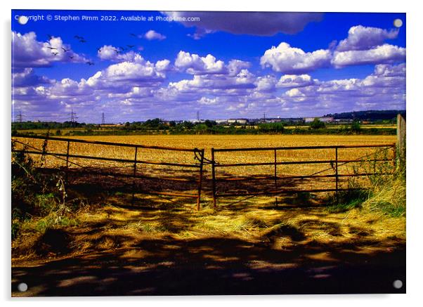 Field Gate View Acrylic by Stephen Pimm