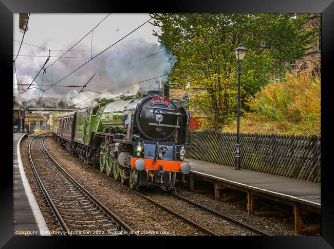 A Majestic Steam Train on a Scenic Journey Framed Print by Rodney Hutchinson