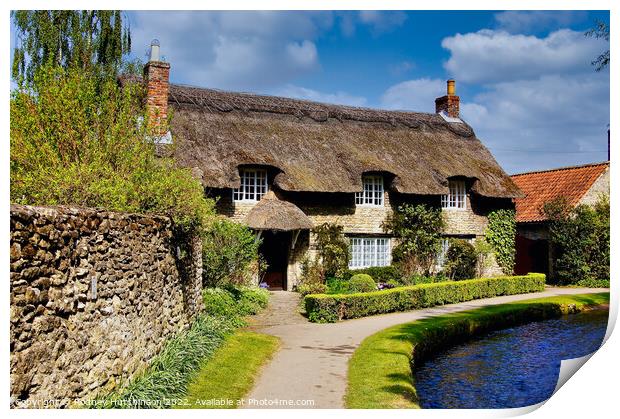 Serenity in a Thatched Cottage Print by Rodney Hutchinson