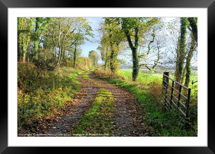 Enchanting Autumn Road Framed Mounted Print by Rodney Hutchinson