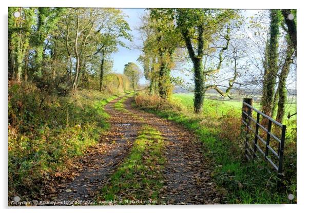 Enchanting Autumn Road Acrylic by Rodney Hutchinson