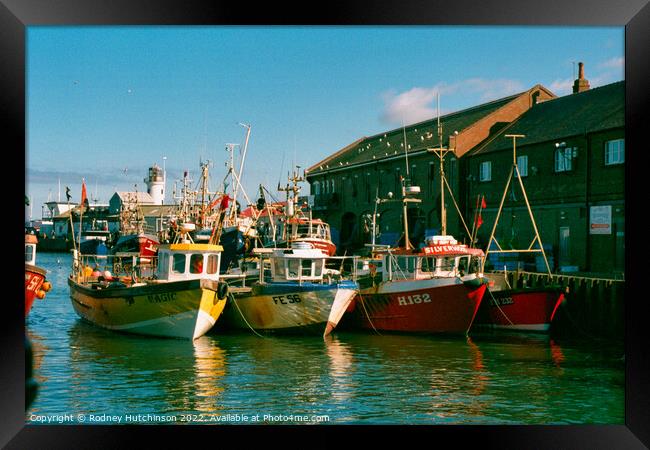Bustling Fishing Harbor in Picturesque Scarbrough Framed Print by Rodney Hutchinson
