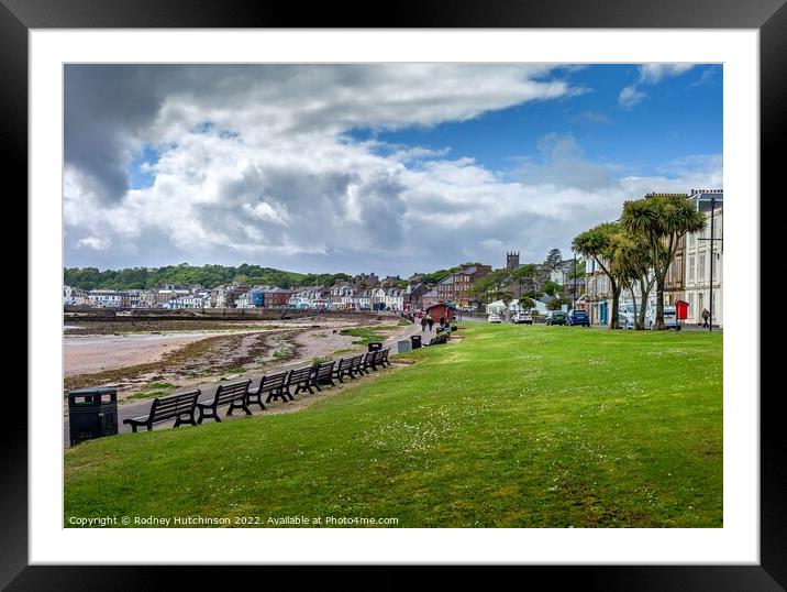 Millport in summer Framed Mounted Print by Rodney Hutchinson