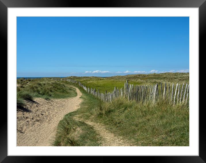 Pathway through the dunes Framed Mounted Print by Tony Twyman