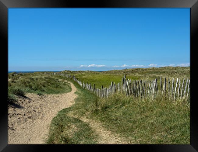 Pathway through the dunes Framed Print by Tony Twyman