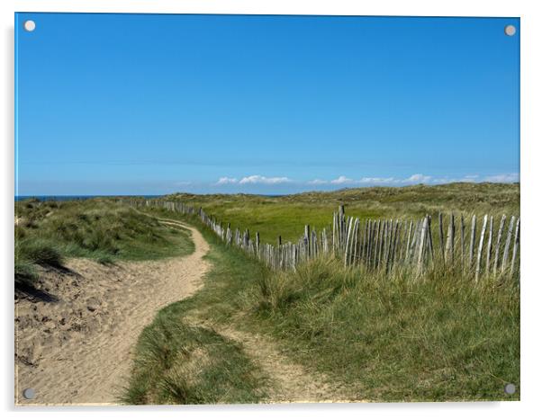 Pathway through the dunes Acrylic by Tony Twyman