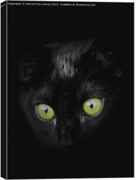 Black Kitten Canvas Print by Derrick Fox Lomax