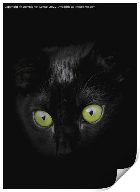 Black Kitten Print by Derrick Fox Lomax