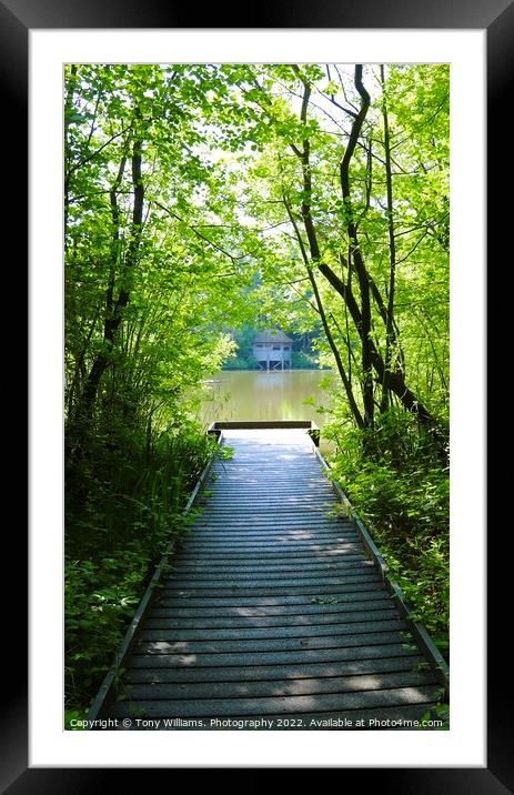 Boardwalk leading to the lake Framed Mounted Print by Tony Williams. Photography email tony-williams53@sky.com