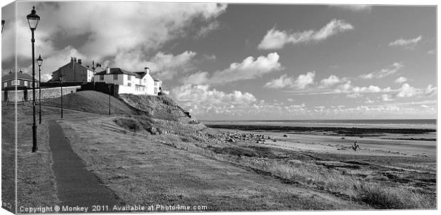 Seascale beach Canvas Print by Anthony Michael 