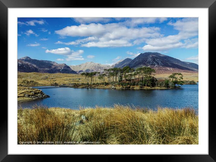 Pine Trees Island: A majestic oasis in Derryclare  Framed Mounted Print by jim Hamilton