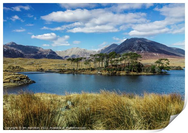 Pine Trees Island: A majestic oasis in Derryclare  Print by jim Hamilton