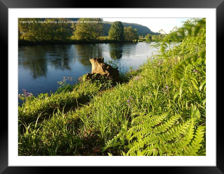 River Tay Scotland Framed Mounted Print by Sandy Young