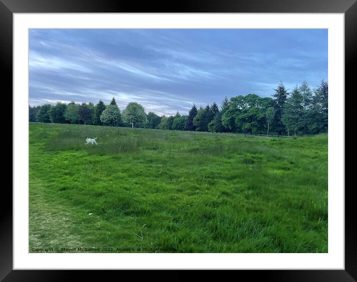 Dog running in grass Framed Mounted Print by Steven McNamee