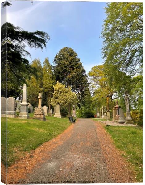 Path through a cemetery  Canvas Print by Steven McNamee