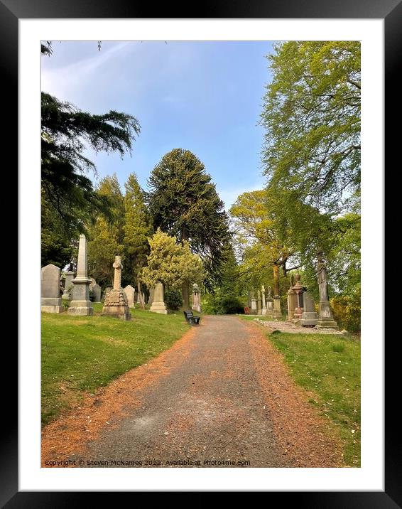 Path through a cemetery  Framed Mounted Print by Steven McNamee