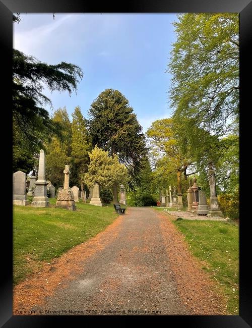 Path through a cemetery  Framed Print by Steven McNamee