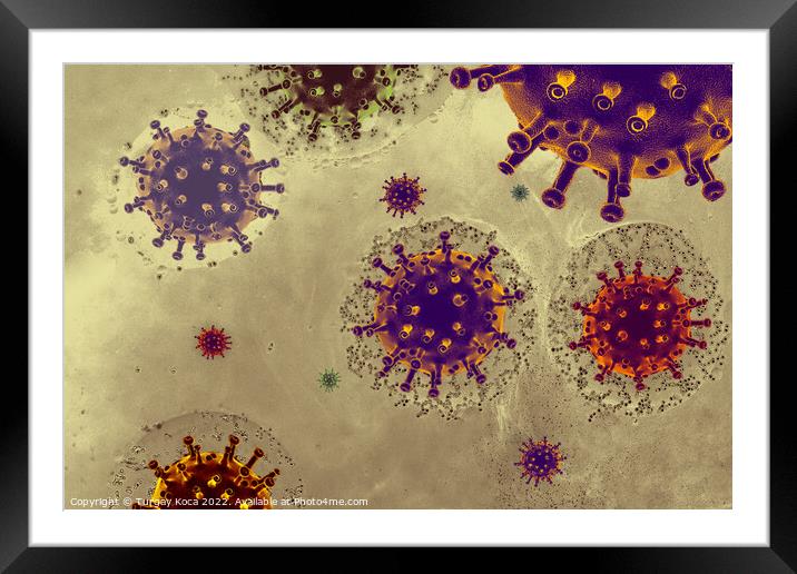 View of a virus cells or bacteria molecule infecti Framed Mounted Print by Turgay Koca