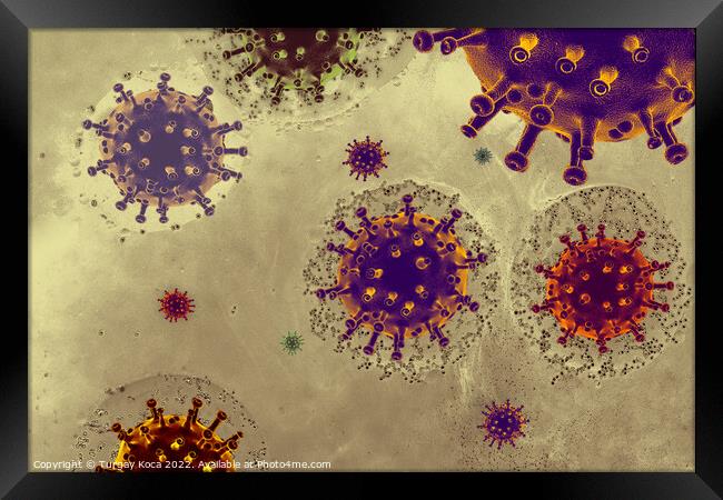 View of a virus cells or bacteria molecule infecti Framed Print by Turgay Koca