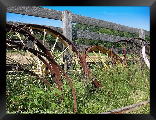 Rusty Wheels Framed Print by Evan Faler
