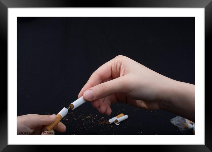 Hand is breaking a cigarette on black background Framed Mounted Print by Turgay Koca