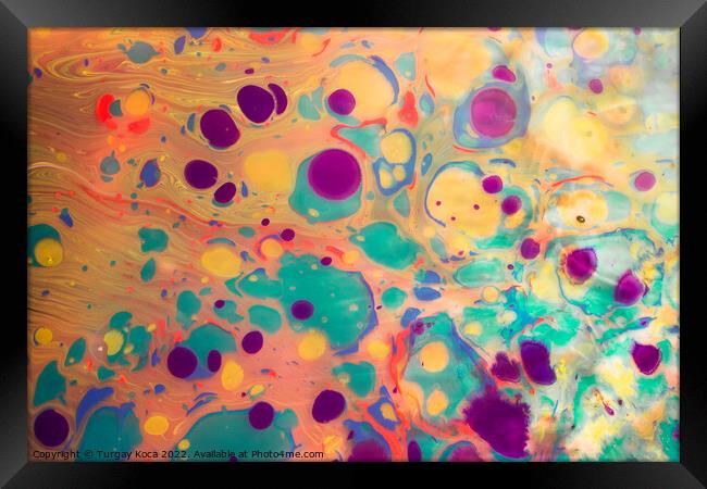 Abstract marbling art patterns  as colorful background Framed Print by Turgay Koca