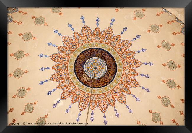 Floral art pattern example of Ottoman time Framed Print by Turgay Koca