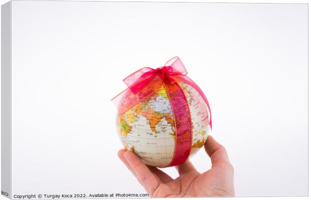 Globe tied with ribbon Canvas Print by Turgay Koca