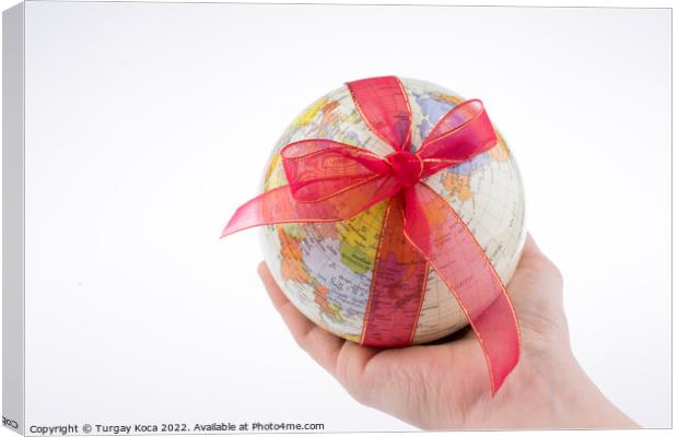 Globe tied with ribbon Canvas Print by Turgay Koca