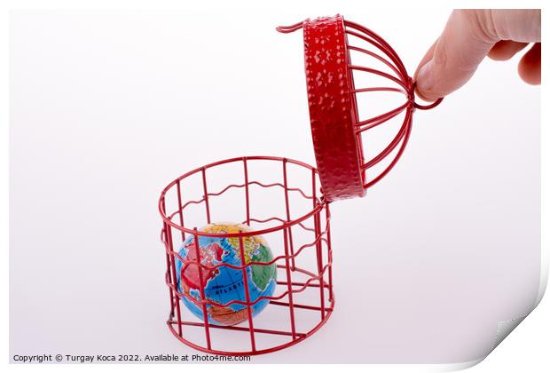Globe trapped in a birdcage Print by Turgay Koca
