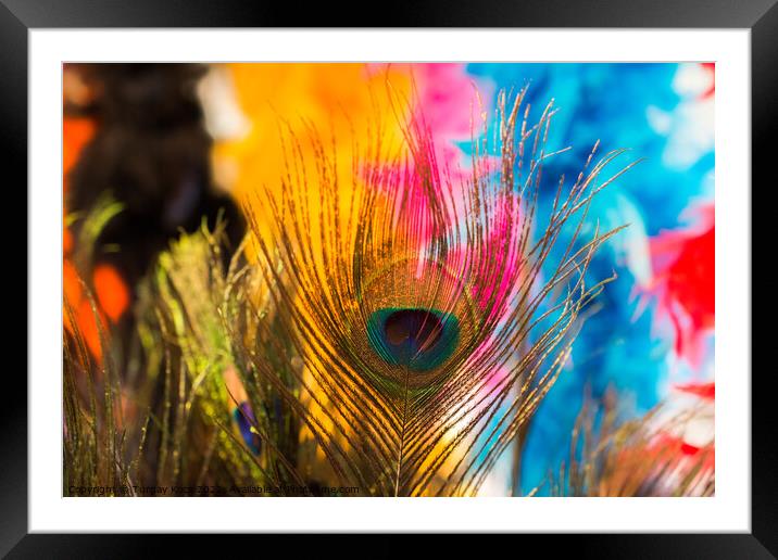Beautiful bird feathers for decorative aims Framed Mounted Print by Turgay Koca