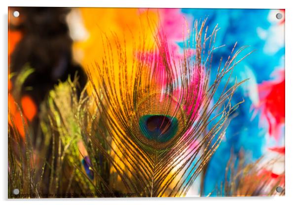 Beautiful bird feathers for decorative aims Acrylic by Turgay Koca