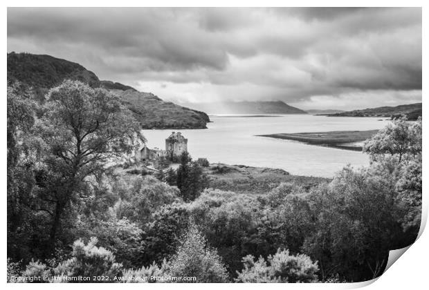 Eilean Donan castle and Loch Alsh Print by jim Hamilton