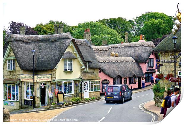 Shanklin old town thatch on the Isle of Wight Print by john hill