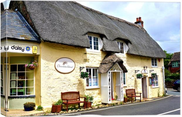 Thatch Chocolate Island at Godshill on the Isle of Wight. Canvas Print by john hill