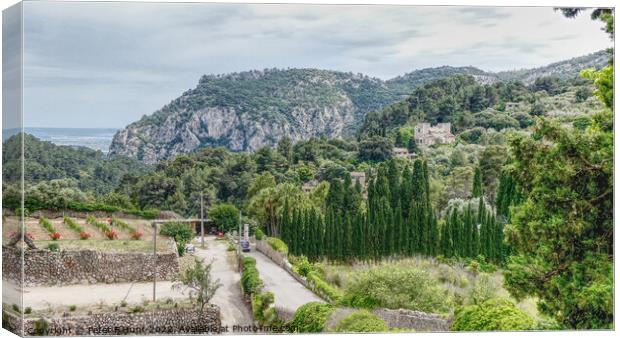 The View From Valldemossa Town Mallorca Canvas Print by Peter F Hunt