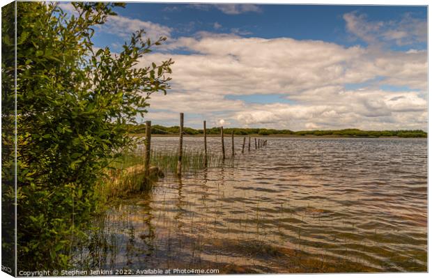  Kenfig Nature Reserve  Canvas Print by Stephen Jenkins