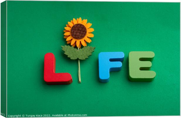 Life wording with the help of a fake flower Canvas Print by Turgay Koca