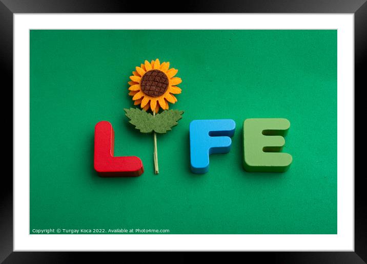 Life wording with the help of a fake flower Framed Mounted Print by Turgay Koca