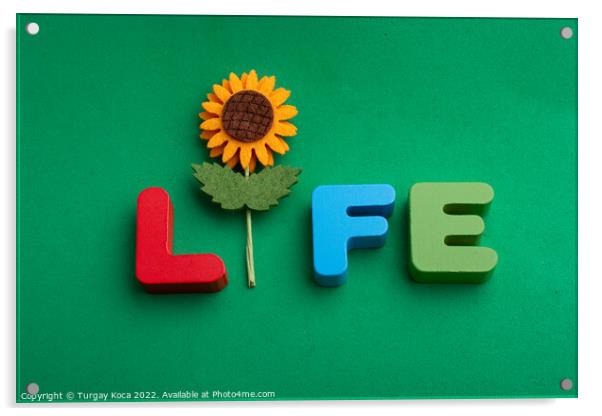 Life wording with the help of a fake flower Acrylic by Turgay Koca