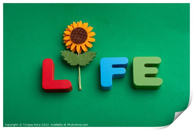 Life wording with the help of a fake flower Print by Turgay Koca