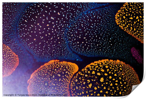 Macro shot of  water-oil emulsion over colored background Print by Turgay Koca