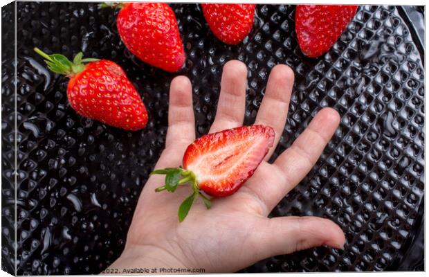 Sweet and ripe strawberry fruit in hand Canvas Print by Turgay Koca