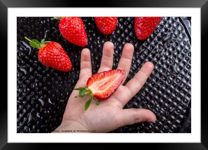 Sweet and ripe strawberry fruit in hand Framed Mounted Print by Turgay Koca