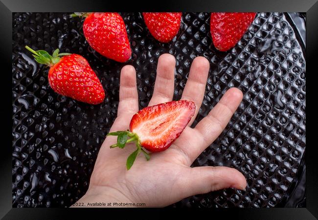 Sweet and ripe strawberry fruit in hand Framed Print by Turgay Koca